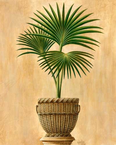 Palme Kunstdruck 40x50 cm