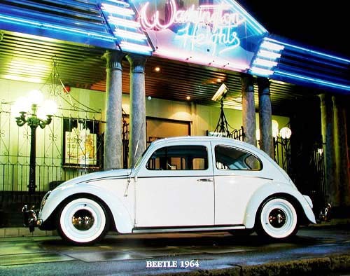 WV Beetle 1964