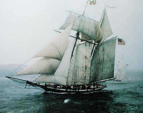 Segelschiff, Klipper Pride of Baltimore - Poster