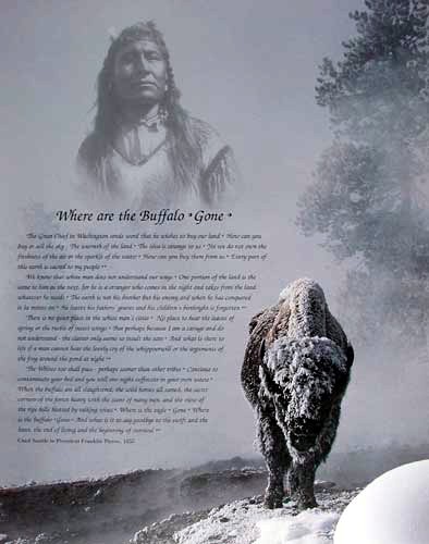 Where are the Buffalo Gone, ... 1855.