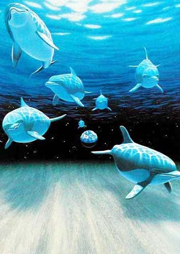 Geheimnisvolle Unterwasserwelt – Delfine unter der Oberfläche, William Schimmel Dufex Alu Bild